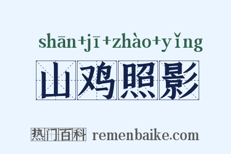 山鸡照影是什么意思的图片